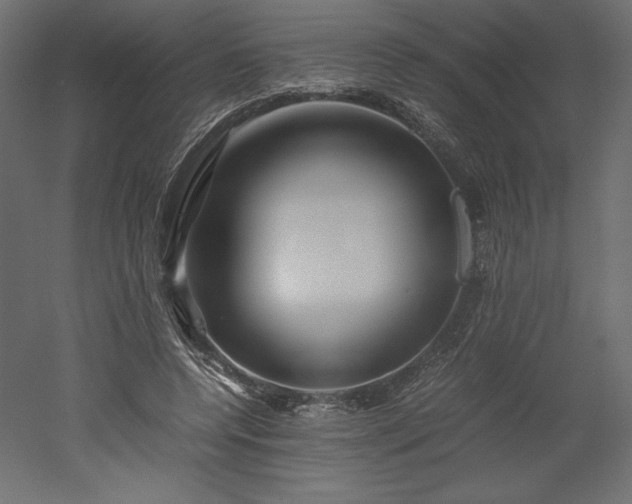 X0000051900544200507011510