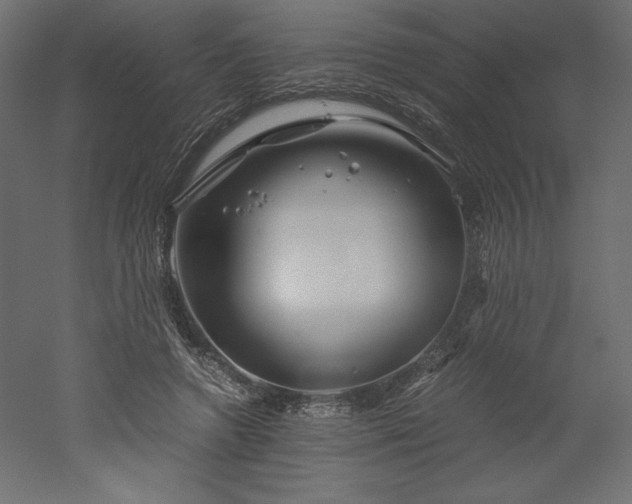 X0000051900546200507011510