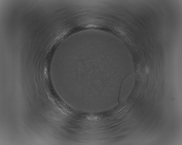 X0000051900547200507011510