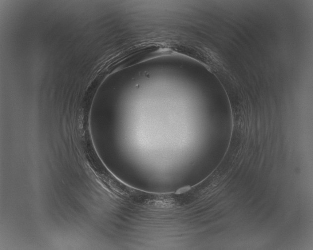 X0000051900548200507011510