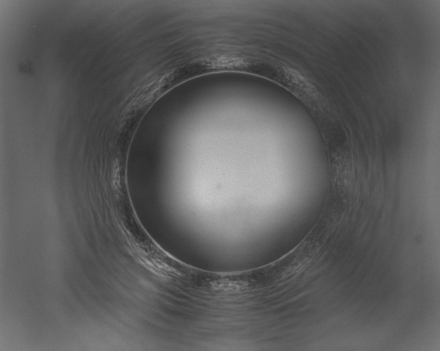 X0000051900549200507011510