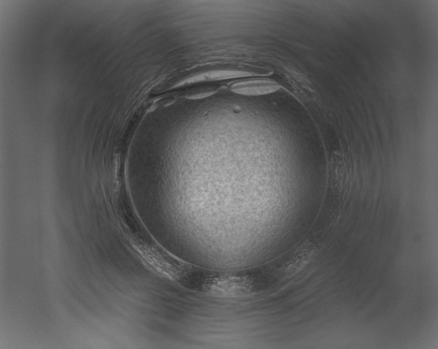 X0000051900550200507011510