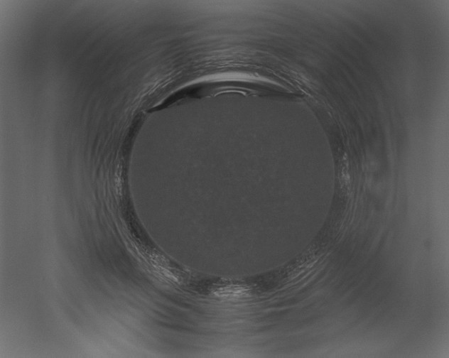 X0000051900551200507011510