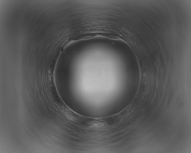 X0000051900555200507011510