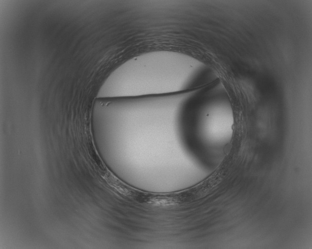 X0000051900557200507011510