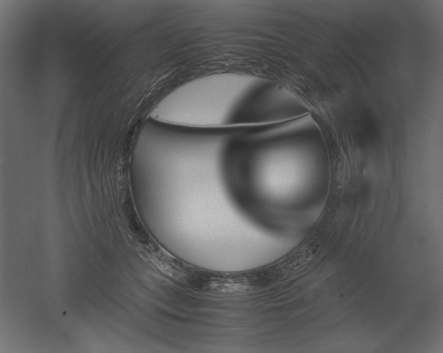 X0000051900559200507011510