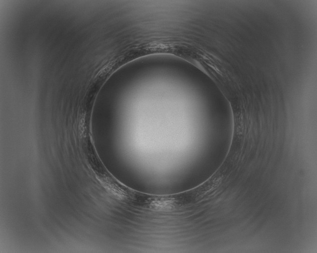 X0000051900560200507011510