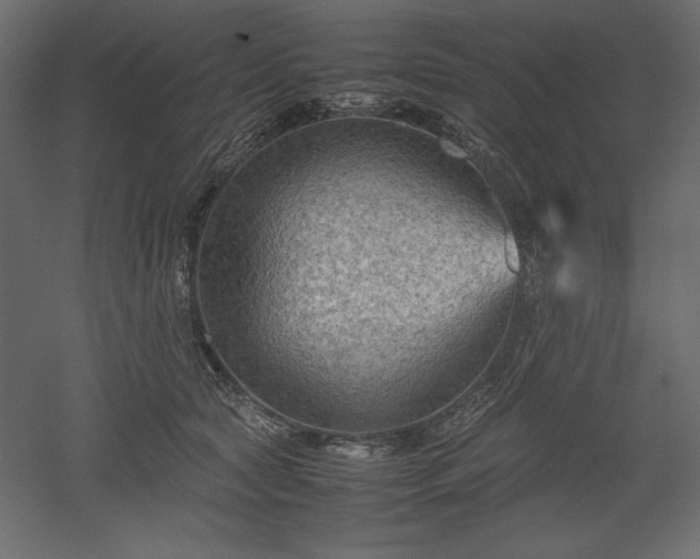 X0000051900561200507011510