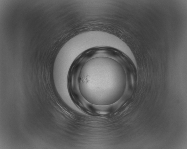 X0000051900562200507011510