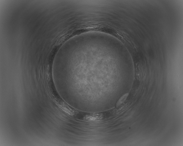 X0000051900563200507011510