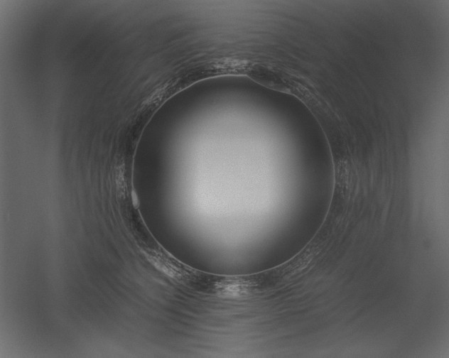 X0000051900564200507011510