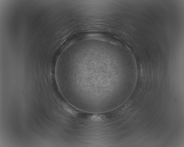 X0000051900566200507011510