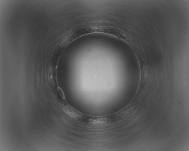 X0000051900567200507011510