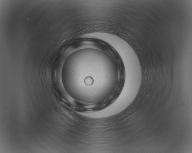 X0000051900568200507011510