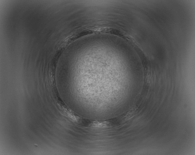 X0000051900569200507011510