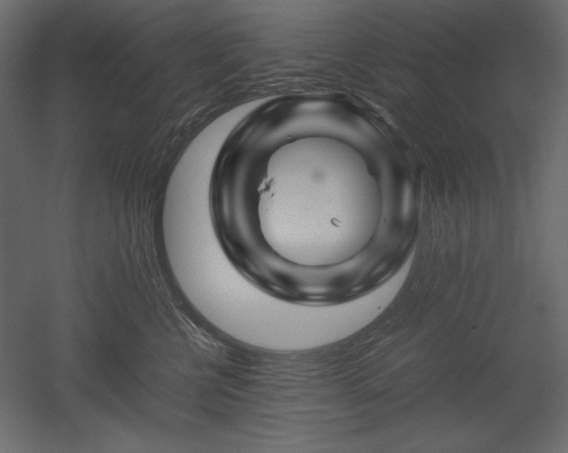 X0000051900570200507011510