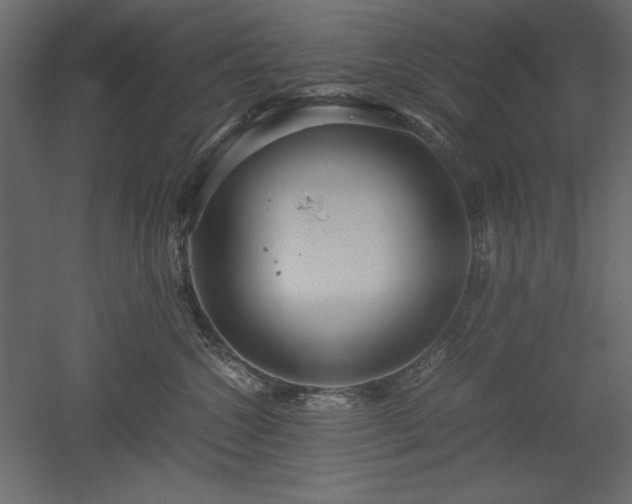 X0000051900572200507011510