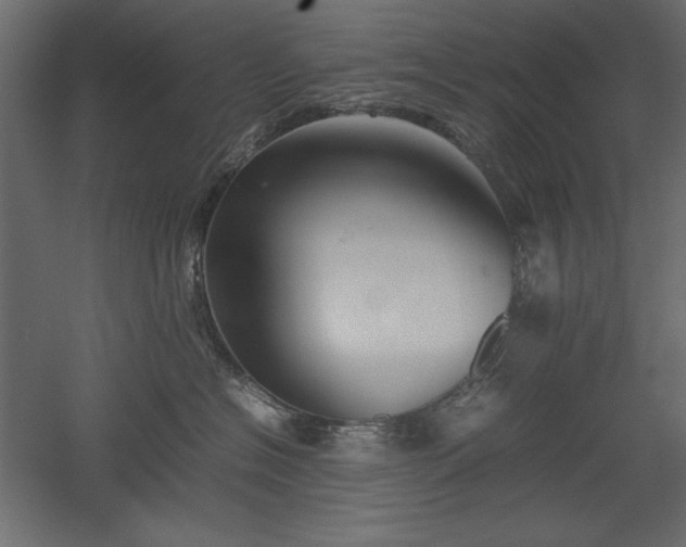 X0000051900574200507011510