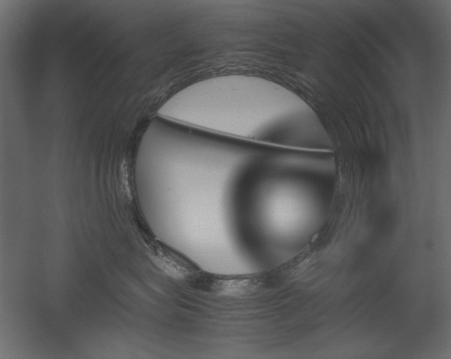 X0000051900575200507011510
