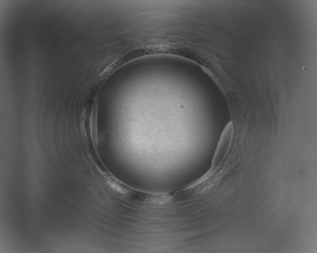 X0000051900576200507011510