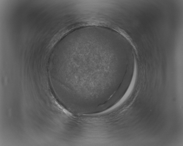 X0000051900577200507011510