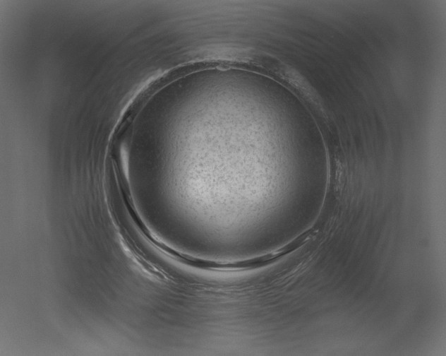 X0000051900580200507011509