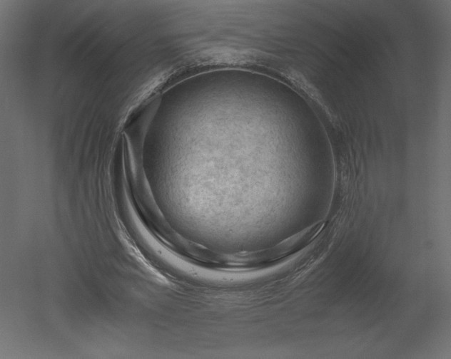 X0000051900581200507011509