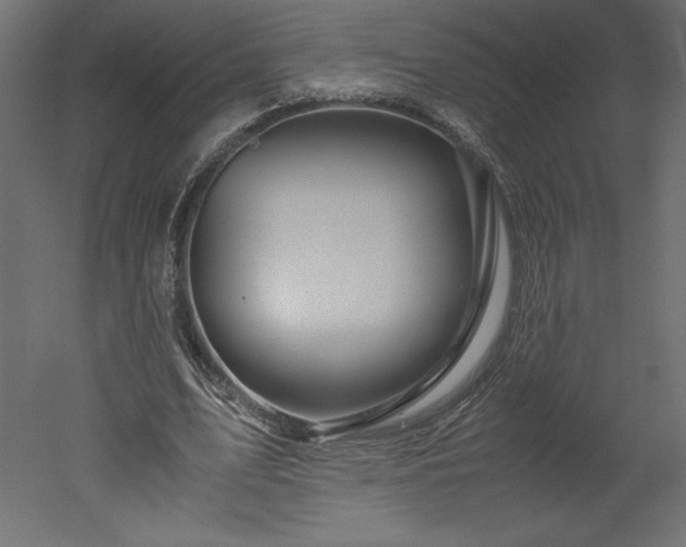 X0000051900583200507011509
