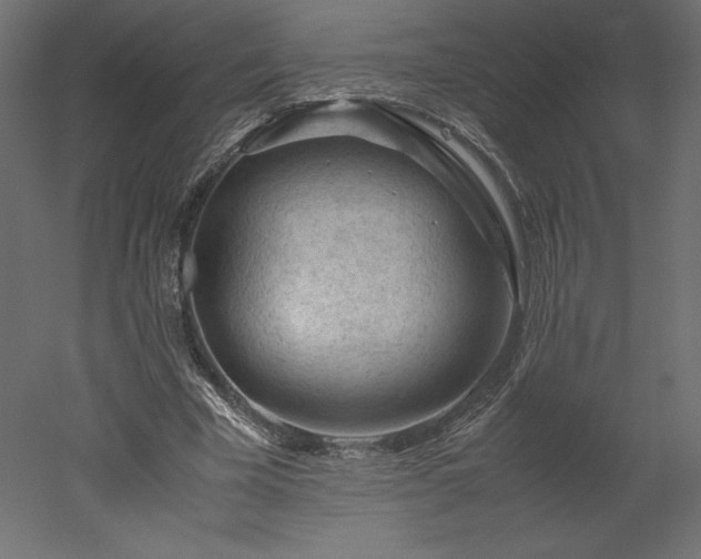 X0000051900585200507011509