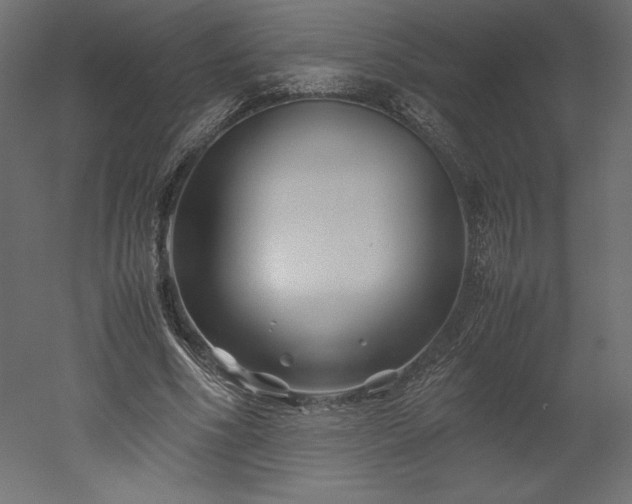 X0000051900586200507011509