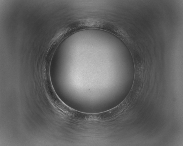 X0000051900587200507011509