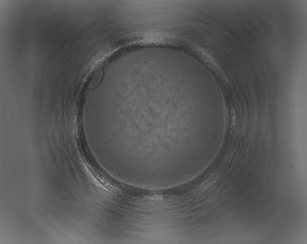 X0000051900588200507011509