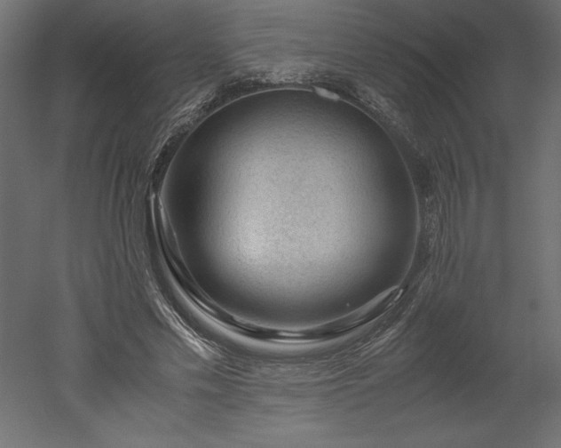 X0000051900589200507011509