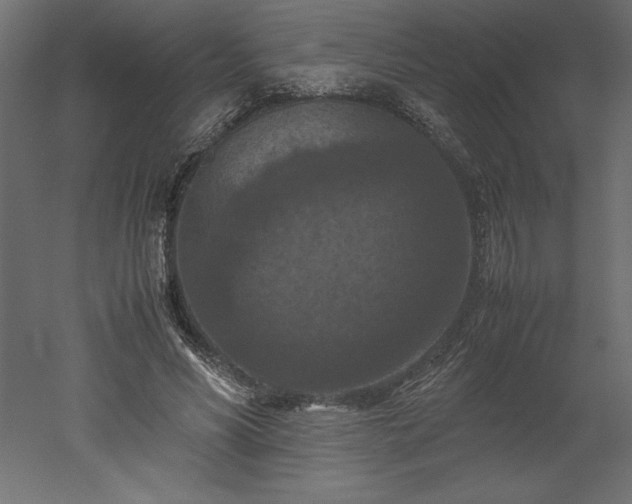 X0000051900590200507011509