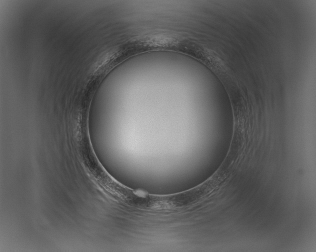 X0000051900591200507011509