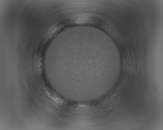 X0000051900592200507011509