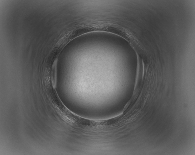 X0000051900593200507011509