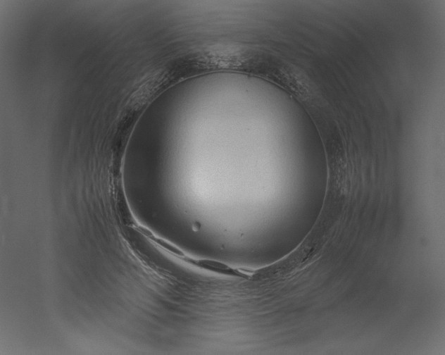 X0000051900594200507011509