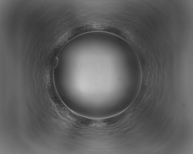 X0000051900595200507011509