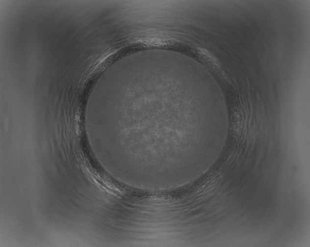 X0000051900596200507011509