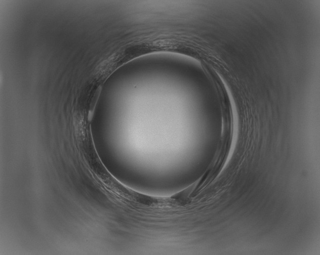 X0000051900597200507011509
