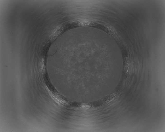 X0000051900598200507011509