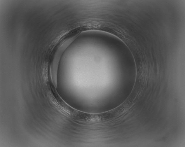 X0000051900600200507011509