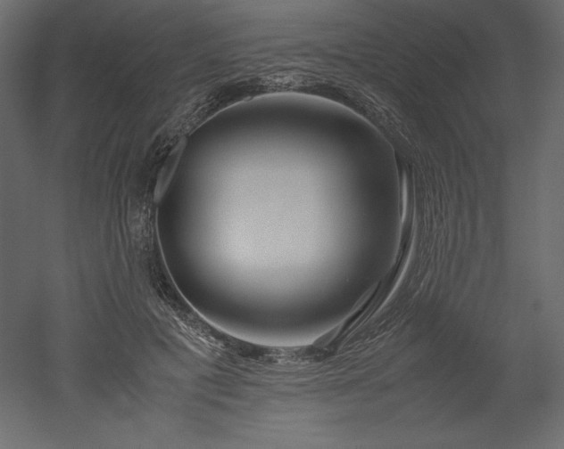 X0000051900601200507011509