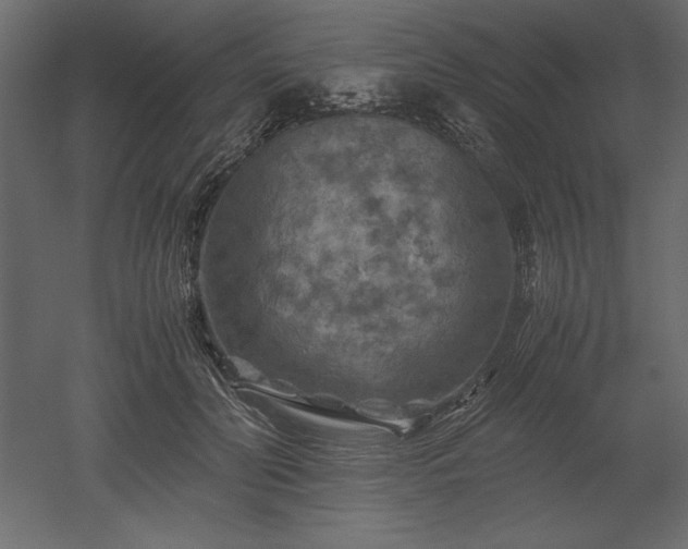 X0000051900606200507011509