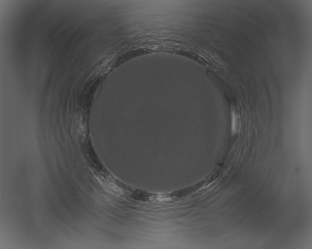 X0000051900607200507011509
