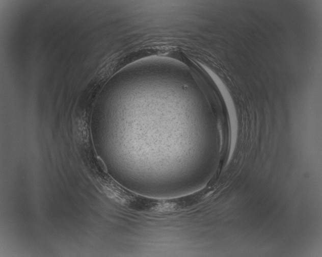 X0000051900609200507011509