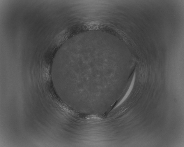 X0000051900610200507011509