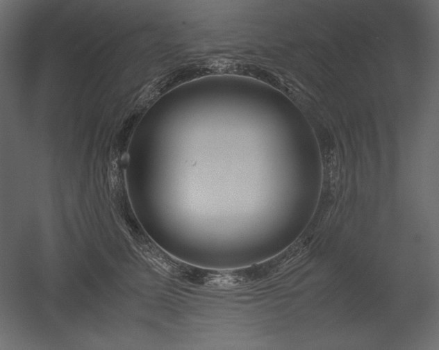 X0000051900611200507011509