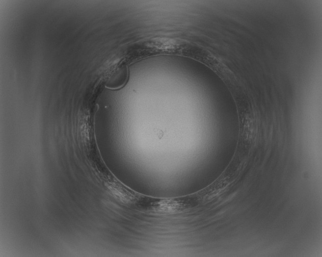 X0000051900612200507011509